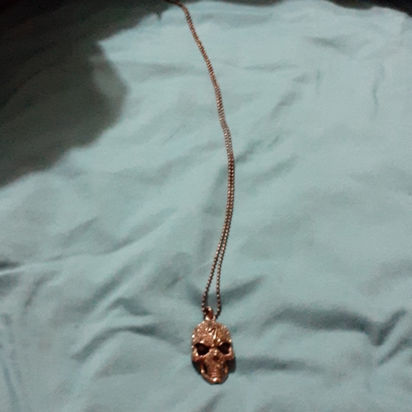 Black Skull Stainless Steel Necklace- Halloween - Picture 2 of 6